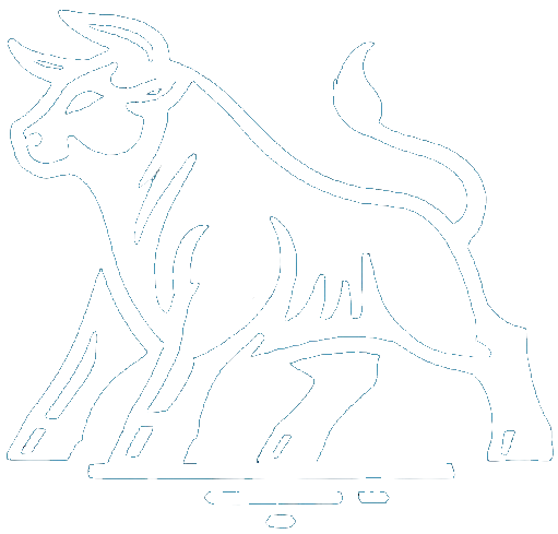 Bull